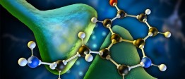 Balancing Structure with Quantum touch level 2