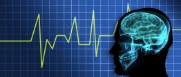 Quantum Touch Brain Healing Audio